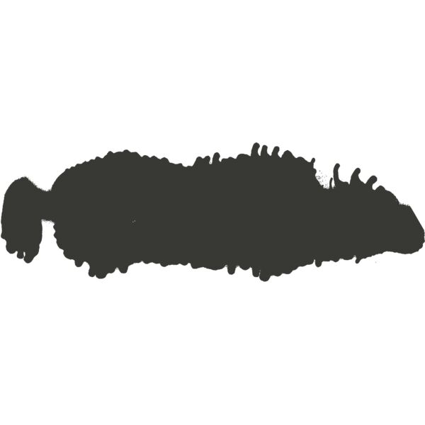 Nets and Splats 13 Thumbnail