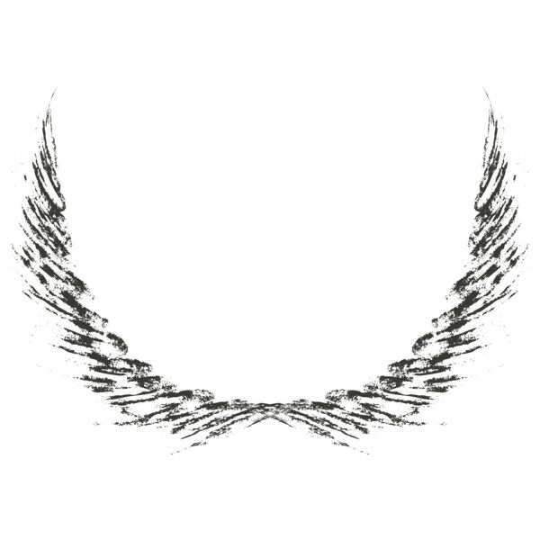 Charcoal Wing 7 Thumbnail