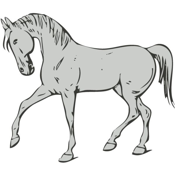 Animals   Horse Thumbnail