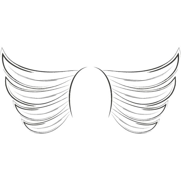 Charcoal Wing 28 Thumbnail