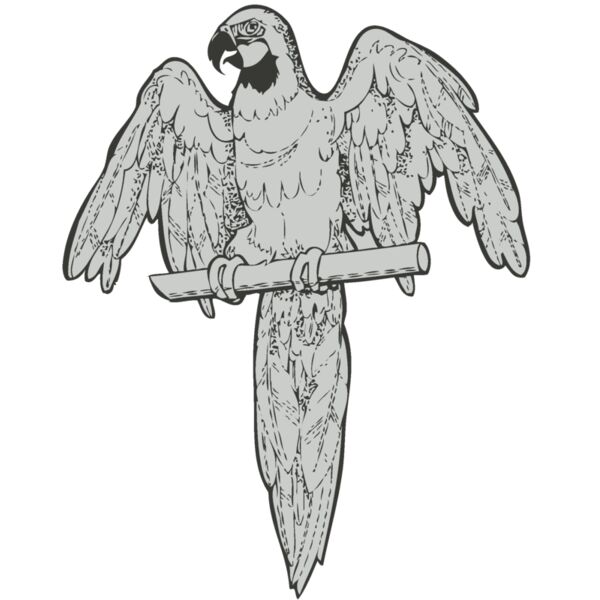 Bird   Parrot Thumbnail