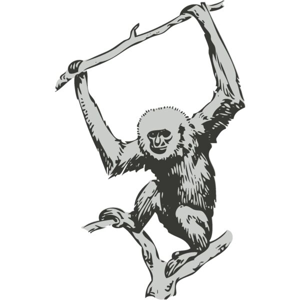 Animals   Monkey Thumbnail