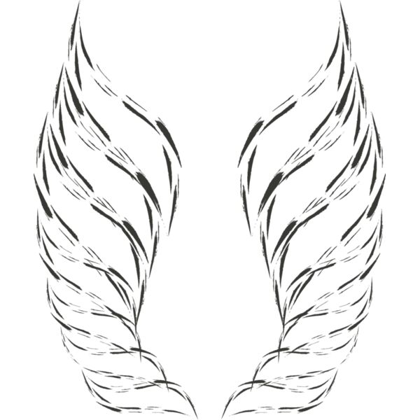 Charcoal Wing 40 Thumbnail