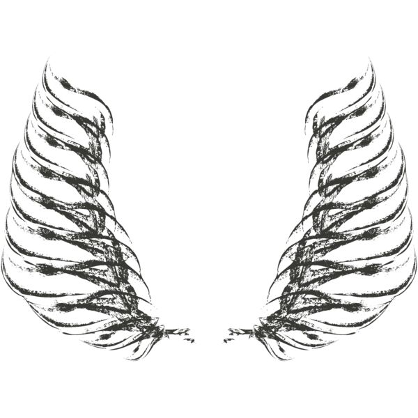 Charcoal Wing 42 Thumbnail