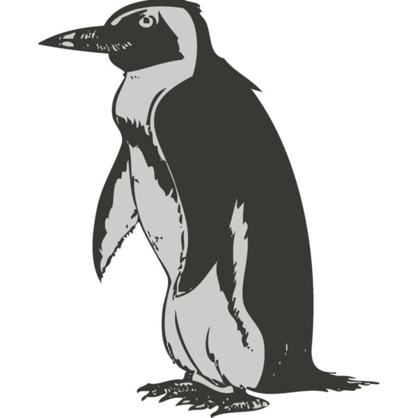 Bird   penguin 2 Thumbnail