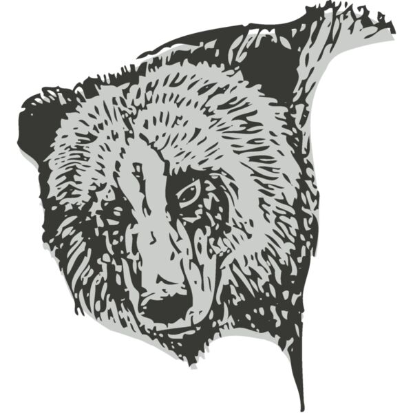 Animals   Bear 4 Thumbnail