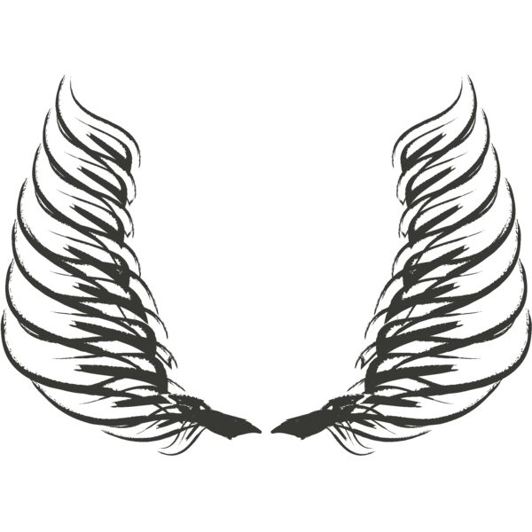 Charcoal Wing 39 Thumbnail