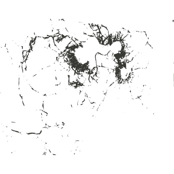 Bullet hole 110 Thumbnail