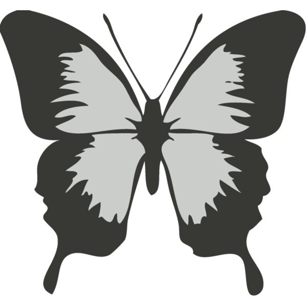 Bird   Butterfly Thumbnail