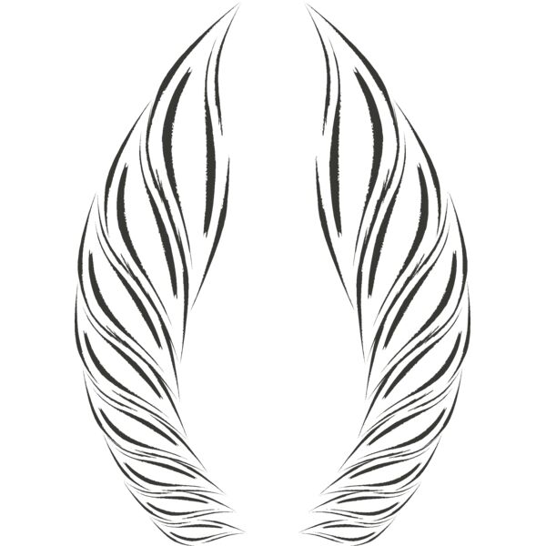 Charcoal Wing 43 Thumbnail