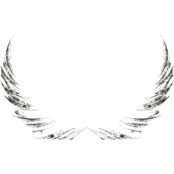 Charcoal Wing 1 Thumbnail