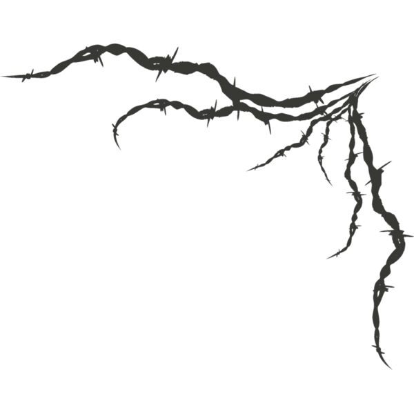 Barbed Wire 45 Thumbnail