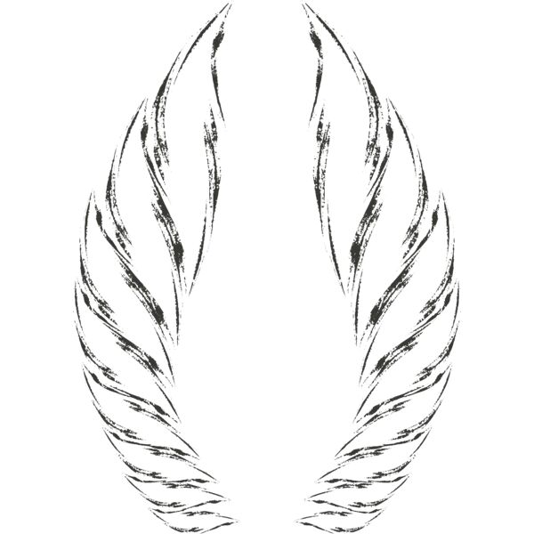 Charcoal Wing 52 Thumbnail