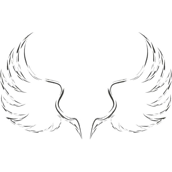 Charcoal Wing 23 Thumbnail