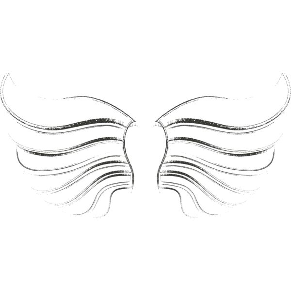 Charcoal Wing 45 Thumbnail