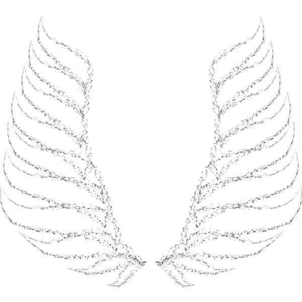 Charcoal Wing 33 Thumbnail