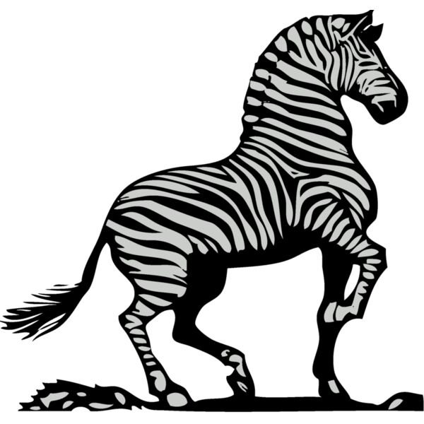 Animals   Zebra Thumbnail