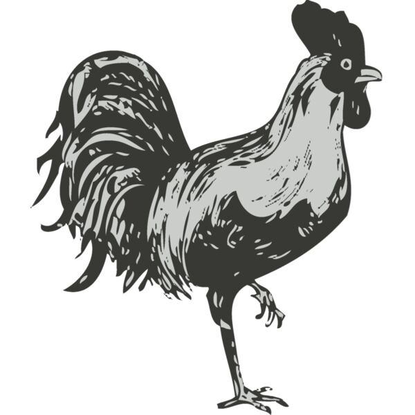 Bird   Chicken Thumbnail