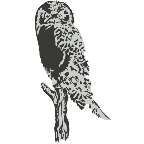 Bird   Owl Thumbnail