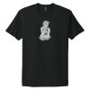 Adult Cotton Tee Thumbnail