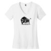 Women's Perfect Weight ® V Neck Tee Thumbnail